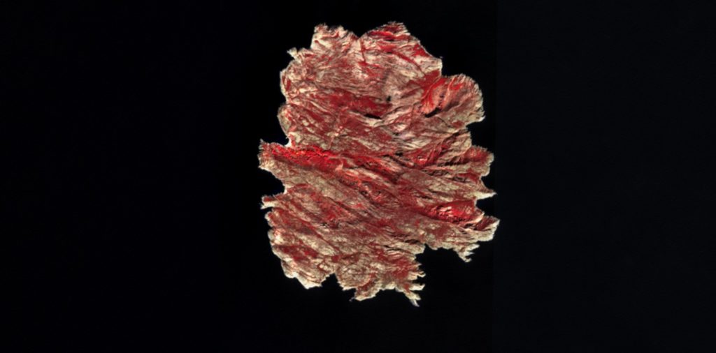 Montecristo 2022. szeptember 10-én, egy felhőmentes, hamisszínes Sentinel-2 műholdképen. (Kép: módosított Copernicus Sentinel adatok 2022 / Sentinel Hub / Geo-Sentinel)